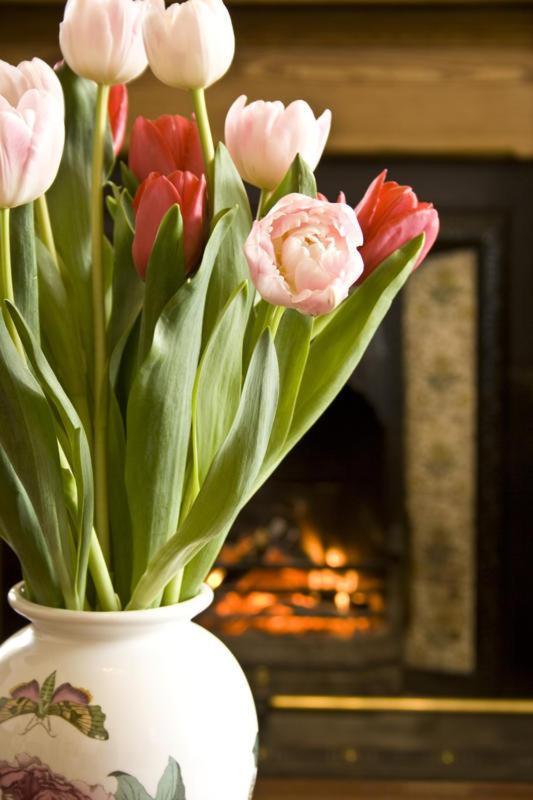 Dunallan Guest House Grantown-on-Spey Ngoại thất bức ảnh