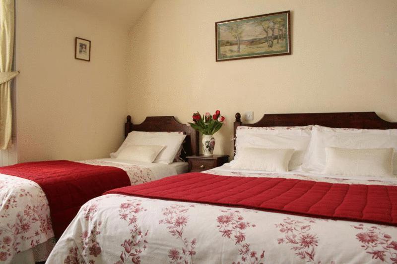 Dunallan Guest House Grantown-on-Spey Ngoại thất bức ảnh